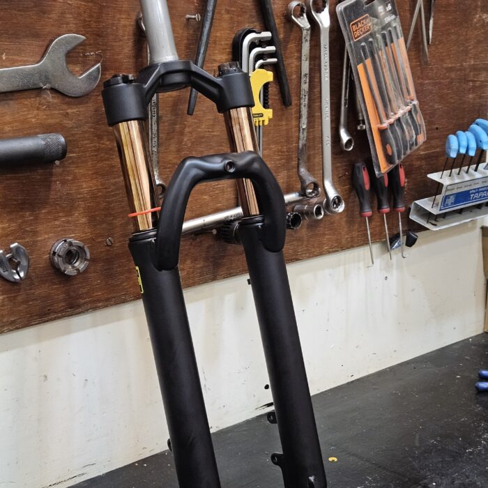 1000049035.jpg 1000049035.jpg